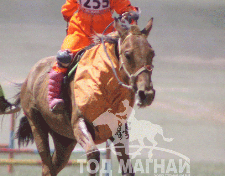 Амарбаясгалангийн хул