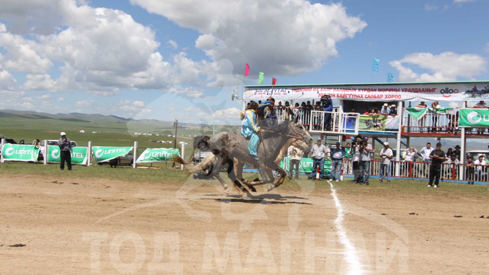 Пэрэнлэйн бор