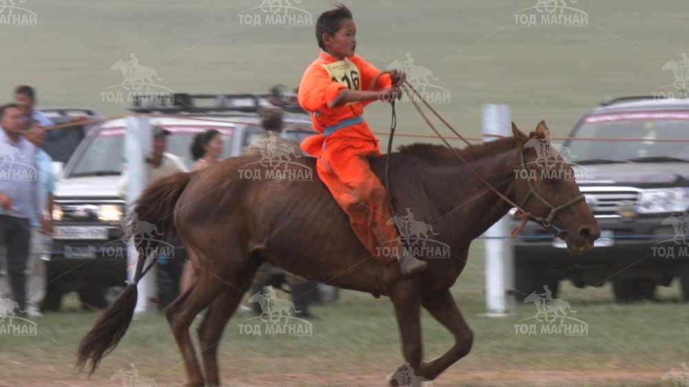 Ч.Ганзоригын Хүрэн