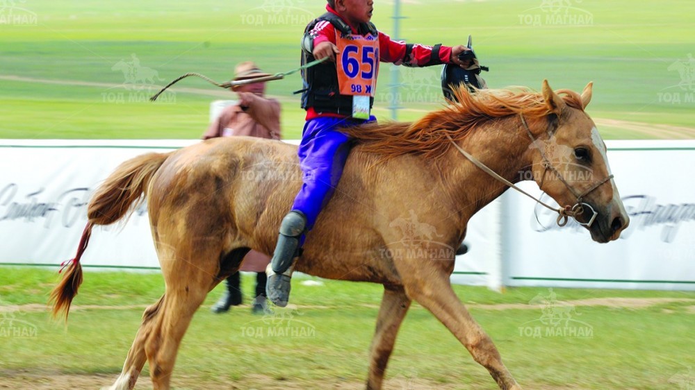 Хонгор халзан