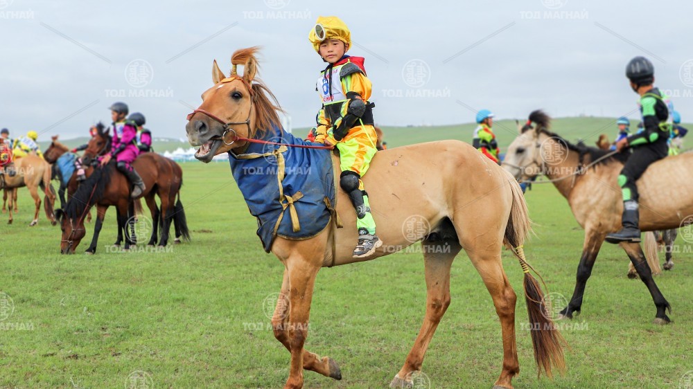 Нарт хонгор