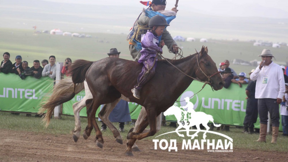 Х.Бат-Эрдэнийн хүрэн