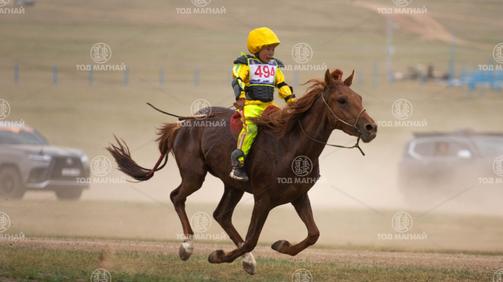 Наран зээрд