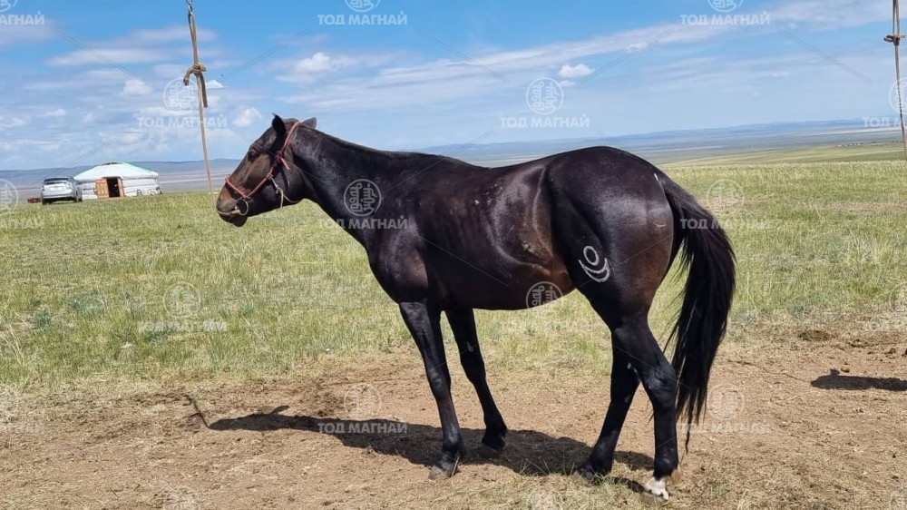 Ёндоо халтар