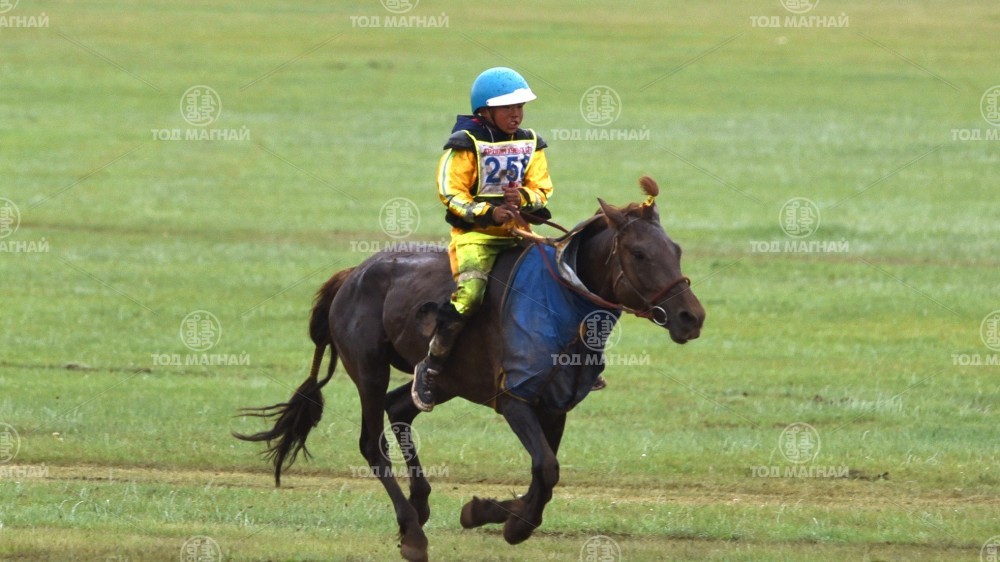 Олимп хүрэн