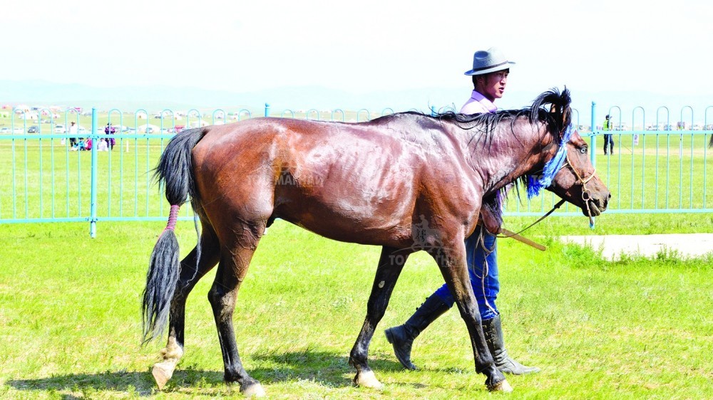 Тэмүүжин хээр