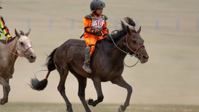 Эрлийз дээд