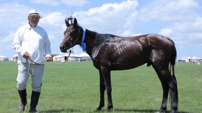 Эрлийз дээд