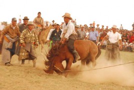 Монгол эрийн ид хав