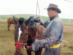 Монгол улсын Манлай уяач агсан Д.Оюунбилэг: Эр хүний нулимс ийм л үед захирагддаггүй юм билээ