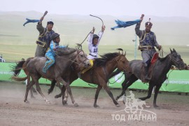 Алдарт бор азарганы төл хурдан бор