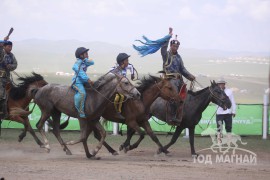 Алдарт бор азарганы төл хурдан бор
