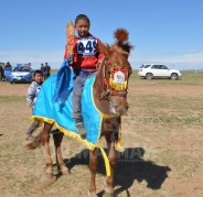 “Жавхлант шарга”-ын хурдууд
