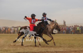 Хөвсгөлийн уяачид бүсийн наадмуудаас гурван түрүү найман айраг хүртжээ