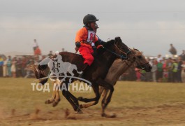 Хөвсгөлийн уяачид бүсийн наадмуудаас гурван түрүү найман айраг хүртжээ
