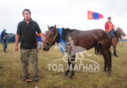 Хөвсгөлийн уяачид бүсийн наадмуудаас гурван түрүү найман айраг хүртжээ