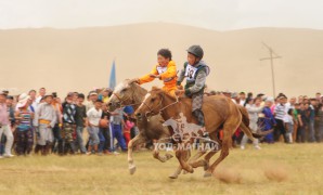 Хөвсгөлийн уяачид бүсийн наадмуудаас гурван түрүү найман айраг хүртжээ