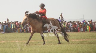 Хөвсгөлийн уяачид бүсийн наадмуудаас гурван түрүү найман айраг хүртжээ
