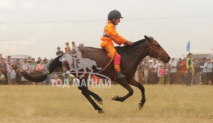 Хөвсгөлийн уяачид бүсийн наадмуудаас гурван түрүү найман айраг хүртжээ