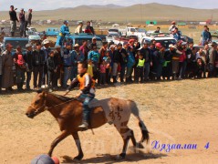 Д.Соёл-Эрдэнийн хул