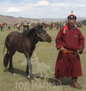 “Сонгино хурд” МСУХ-ны тэргүүн, аймгийн Алдарт уяач Ч.Пүрэвхүү: Канад технологиор эртний хаадын гэрийн загвартай уяачдын өргөө барьж байгаа