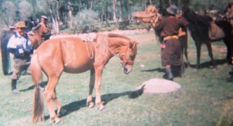 Монгол Улсын Алдарт уяач Данзангийн Санжаадорж