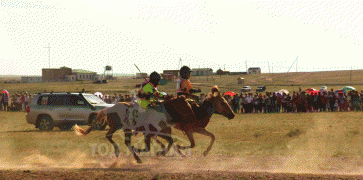 Аймгийн Алдарт уяач Д.Сүхбаатарын Бага буурал