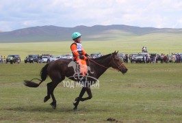 Ес-А.Ууганбаярын халтар