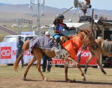 Д.Ганхуягийн хонгор