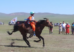 Айргийн тав-Ч.Хишигбаатарын хээр