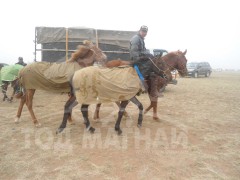 “Ирээдүйн түмэн хурд-2012” тодорлоо