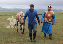 Улс бүсийн уралдааны хоёр түрүү, нэг айргийн эзэн хурдан шарга