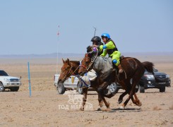 Айргийн гурав - Д. Батболдын хүрэн, айргийн дөрөв - Т.Буян-Өлзийгийн зээрд