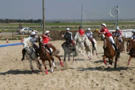 Horseball буюу морин квиддич