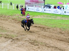 Д.ДАГВАДОРЖИЙН ЕМБҮҮ ХАР